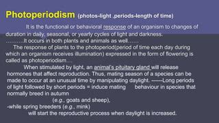 Animal Physiology ( Biological Clock) | PPT