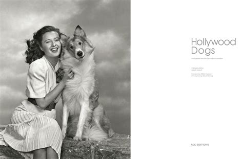 Hollywood Dogs From Walkies To The Hollywood Walk Of Fame Schön