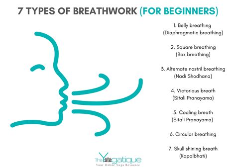 Top 10 Breathwork Step By Step