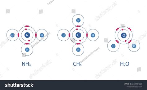 Chemical Model Molecules Ammonia Nh3 Water Stock Vector Royalty Free