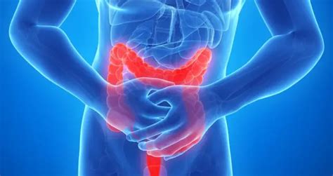 3 Simple Steps to Reduce Your Gut Inflammation | Healthtian