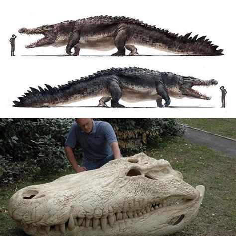 75 best Sarcosuchus images on Pholder | Naturewasmetal, Dinosaurs and ...