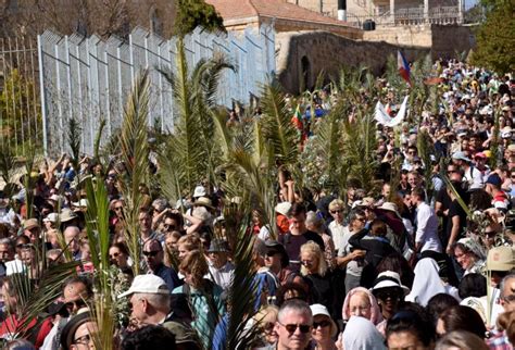 What Our Palm Branches Really Mean Catholicphilly