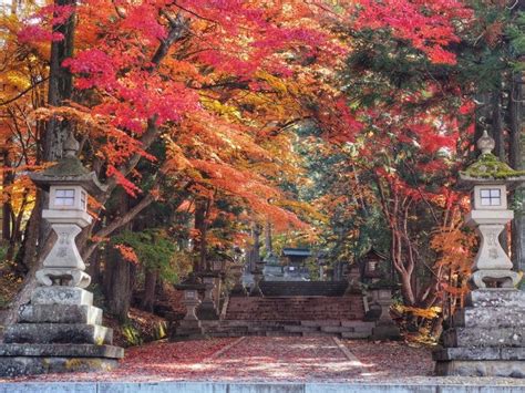 Autumn Colors of Takayama | VISIT GIFU