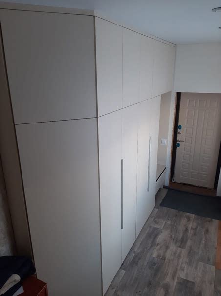 Распашной Шкаф из ЛДСП Цвет - Перламутр. Петли накладные с доводчиком ...