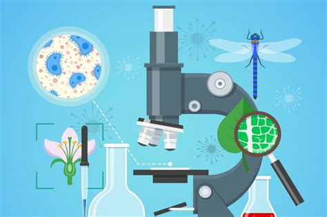 Ks3 Science One To One 121 Private Tutor