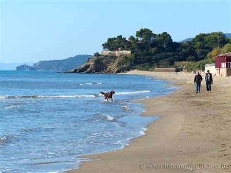 Maremma beaches: 100 breathtakingly beautiful beaches waiting to be ...