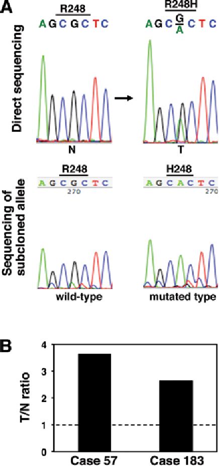 Figure From A Novel Somatic Fgfr Mutation In Primary Lung Cancer