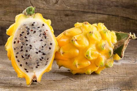 How To Grow Your Own Dragon Fruit Pitaya Gardeners Path