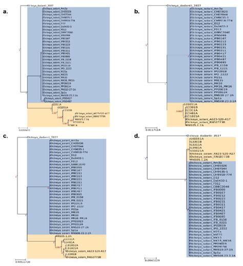 Phylogenetic Analysis Of Four Regions Highlighting High Variant Download Scientific Diagram