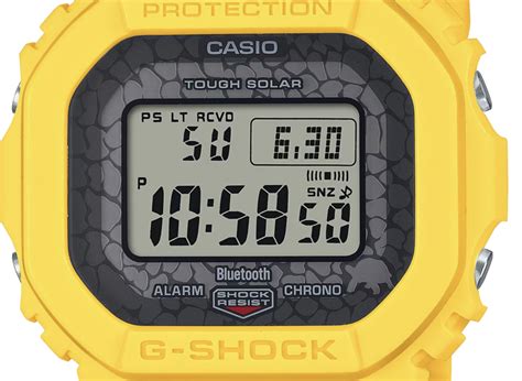 G SHOCK GW B5600CD 9JR Charles Darwin Foundationコラボレーションモデル NAKAISHU