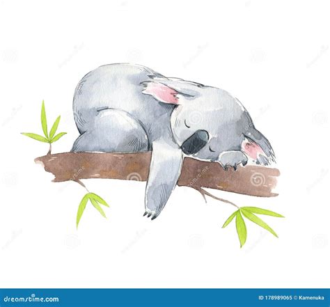 Koala Sleeping On The Tree Royalty-Free Stock Photography | CartoonDealer.com #78519305