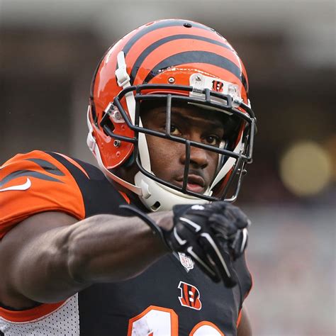 cincinnati bengals week  stock report news scores highlights
