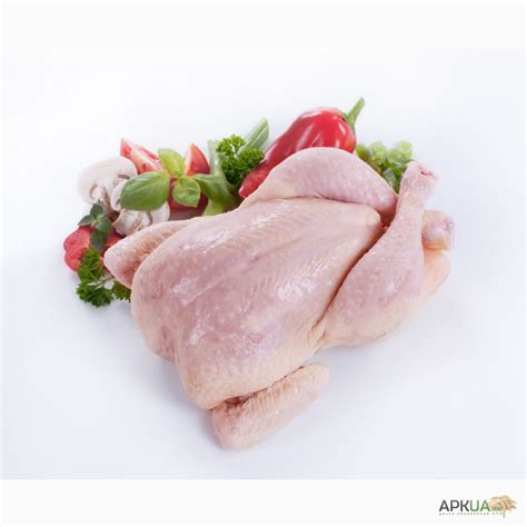 Домашние куры продаю, Киев — APKUA