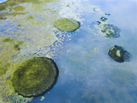 Manantiales Submarinos En El Parque Nacional Del Lago Skadar En