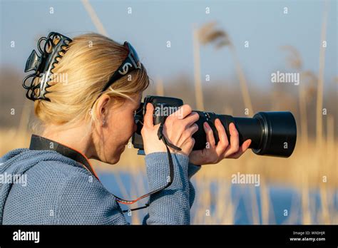 Nature photography photography from the observation stand Stock Photo - Alamy