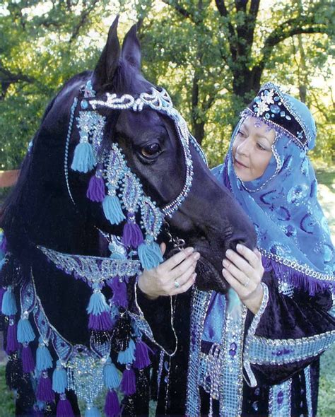 arabian costume horse 2