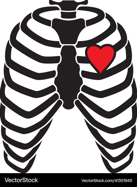 Rib Cage With Heart Svg