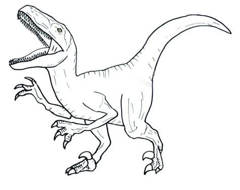 Desenho De Velociraptor Para Colorir Desenhos Para Colorir E Imprimir