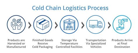 Cold Chain Management The Logistics Of Keeping Your Cool