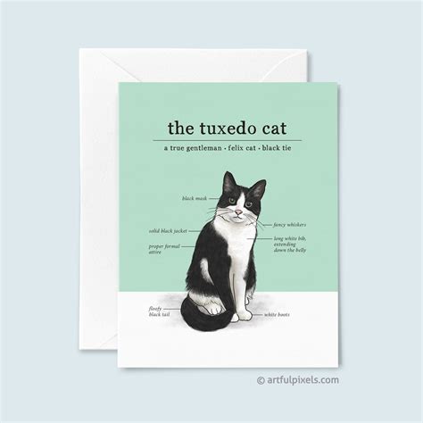 Black Tuxedo Cat