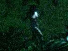 JUDI DENCH Nude AZNude