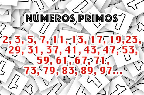 Numeros Primos O Que São - 8