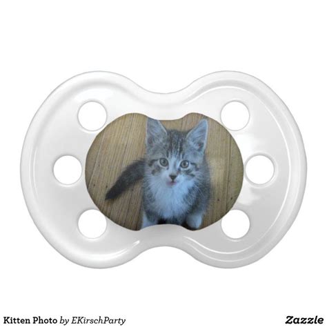 Kitten Photo Pacifier | Pacifier, Kitten photos, Kittens