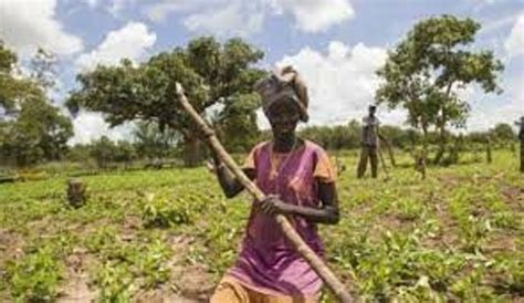 Aweil Center prepares to increase agricultural production - South Sudan