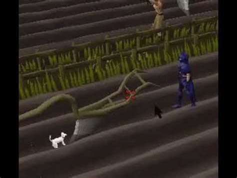 White Pussy Gets Plowed YouTube