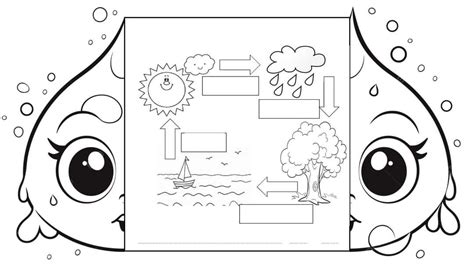 Ciclo Da Agua Para Imprimir - 6