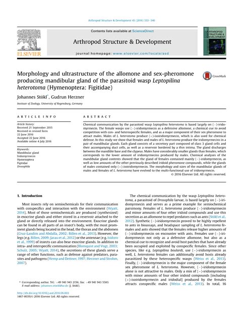 Morphology And Ultrastructure Of The Allomone And Sex Pheromone Producing Mandibular Gland Of