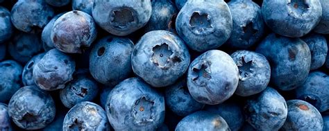 САХАР kids | Детская одежда от известных брендов по низким ценам ...