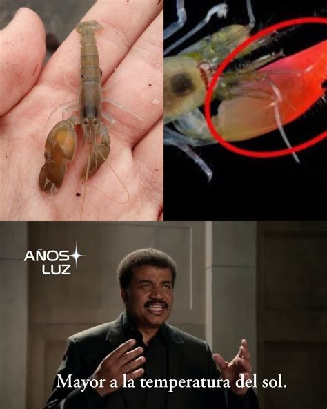 Años - 💥 Una explosión tan intensa que supera al Sol… y la genera un