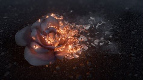 Gumroad Ash Disintegration Houdini Nuke VFX Course SoftArchive