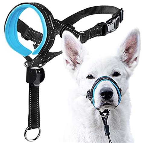 5 Best Dog Head Halters July 2023 Reviews The Goody Pet