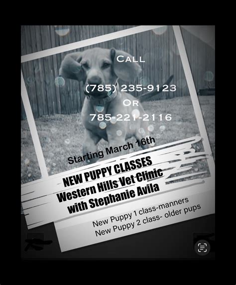 New Leash on Life Dog Training and Lost Pet Tracking | Topeka KS