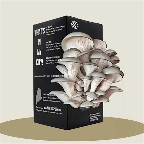 Cardboard Mushroom Boxes Mushroom Packaging