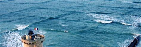 Подборка Всё о море и их обитателях