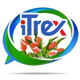 Бюро переводов iTrex | Tel Aviv