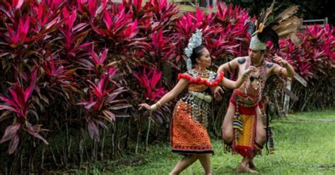 mesmerising ngajat dance   iban people  straits times