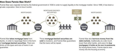 How Fannie Mae And Freddie Mac Work Fannie Mae Borrow Money Mortgage