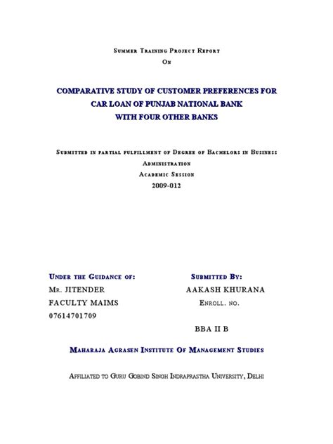 project  pnb  banks loans