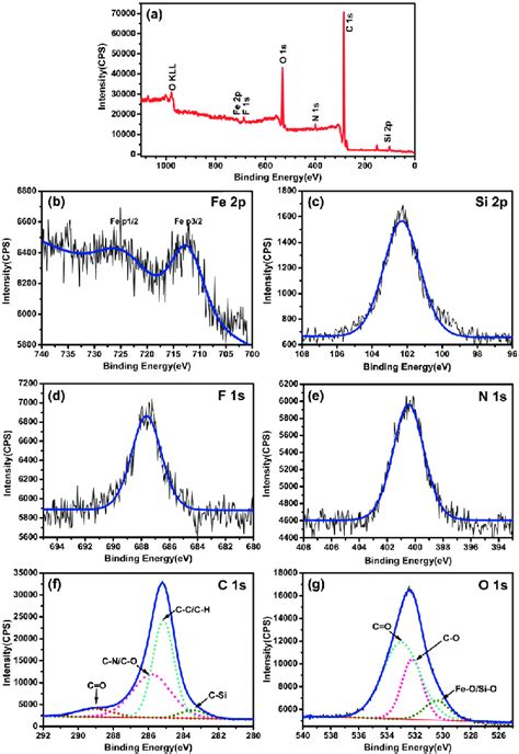 A Xps Survey Spectrum And High Resolution Xps Spectra Of B Fe 2p