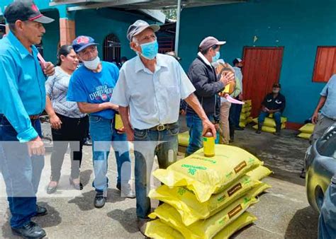 Inta Fortalece Al Sector Cafetalero Con Entrega De Bonos En Jinotega