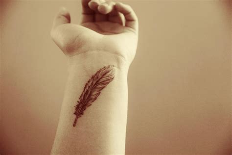 Feather Tattoo By Ashleycorbett On Deviantart