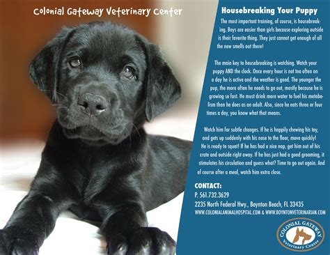 Animal Health Care Center Lake Worth - waroai