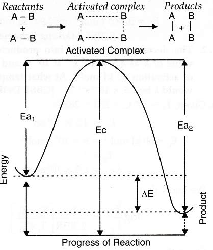 diagram explain  role  activated complex