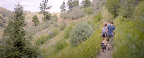 Mount Galbraith Park Hiking And Trails In Golden Co
