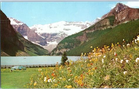 Lake Louise Mount Lefroy And Victoria Glacier Banff Canada Postcard